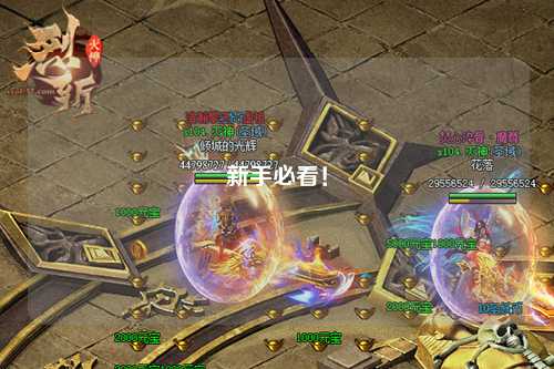 新手必看！